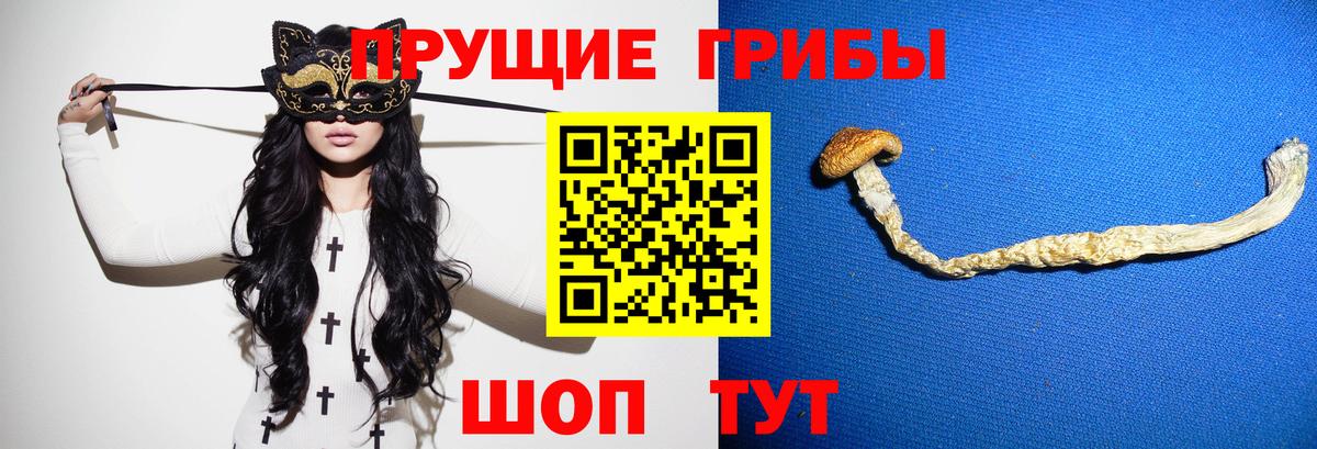 Галлюциногенные грибы прущие грибы Екатеринбург